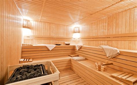 Saunas & Steam Rooms 